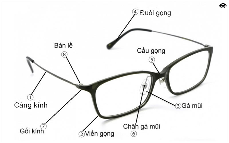 Quá trình phát triển của mắt kính