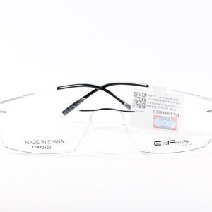 Gọng Kính Exfash EF84283T_903_54