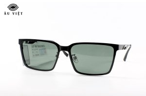 Kính Mát Nam LIINZEE MOD 7318-c2